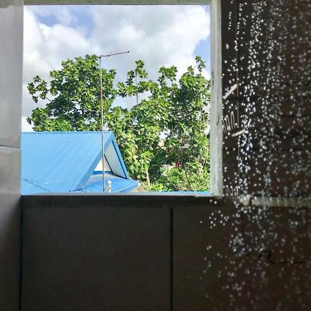 Woodbrook On The Avenue Bed & Breakfast Port of Spain Ngoại thất bức ảnh
