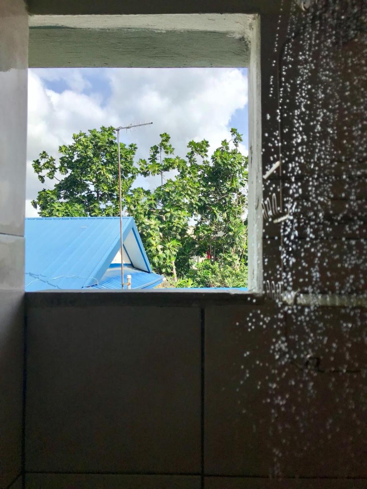 Woodbrook On The Avenue Bed & Breakfast Port of Spain Ngoại thất bức ảnh